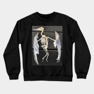 Found bird Skeleton - Photography  by Avril Thomas - Adelaide / South Australia Artist Crewneck Sweatshirt